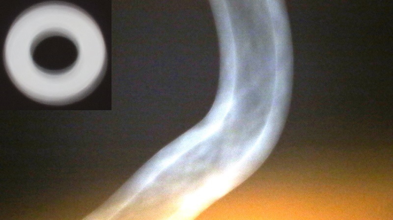 “Gli alieni sono sulla Terra”. Comunicazione ufficiale dell’Fbi. Foto