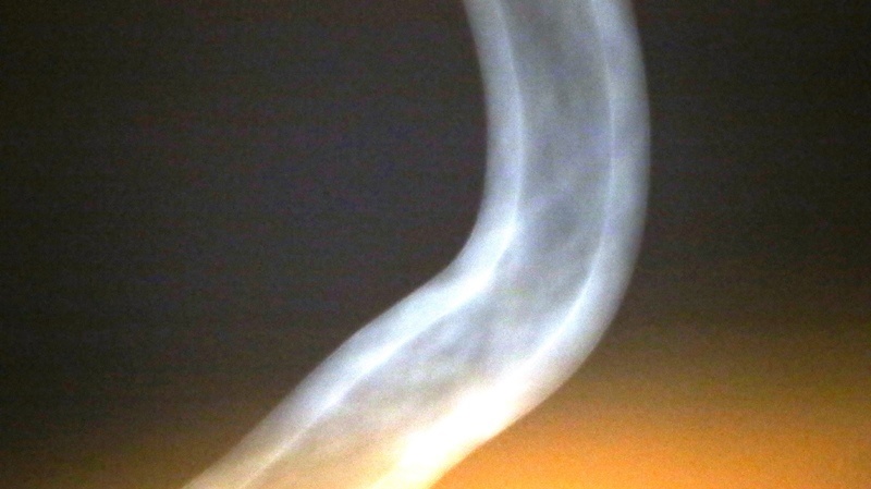 “Gli alieni sono sulla Terra”. Comunicazione ufficiale dell’Fbi. Foto