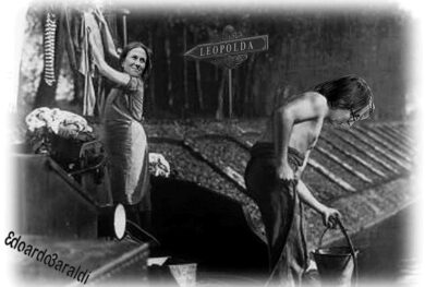 Rai, via al totonomine: Minoli, Orfeo, Ruffini, Maggioni, Rizzo Nervo e….