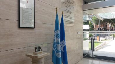 Migranti e agricoltura sostenibile: “Così li aiutiamo a casa loro”