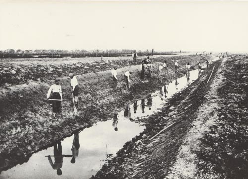 Genagricola presenta il progetto di valorizzazione della tenuta Ca’ Corniani