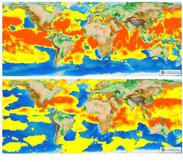 Il calamaro gigante esiste, ecco dove. La ricerca del Cnr
