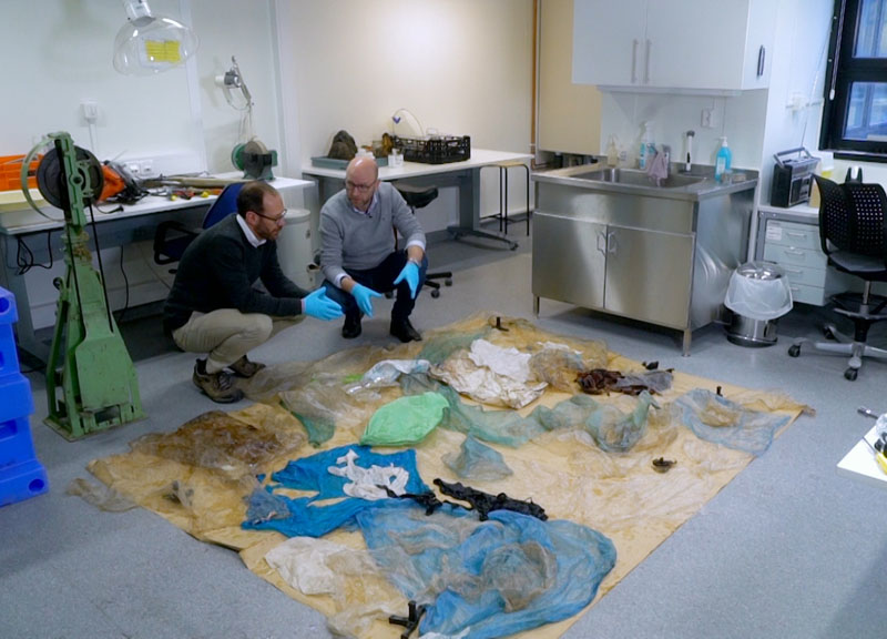 Balena di plastica: su SkyTg24 la storia della balena uccisa dalla plastica