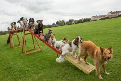 Soccer Festival: tre giorni di sport di festa a Cologno Monzese. Foto