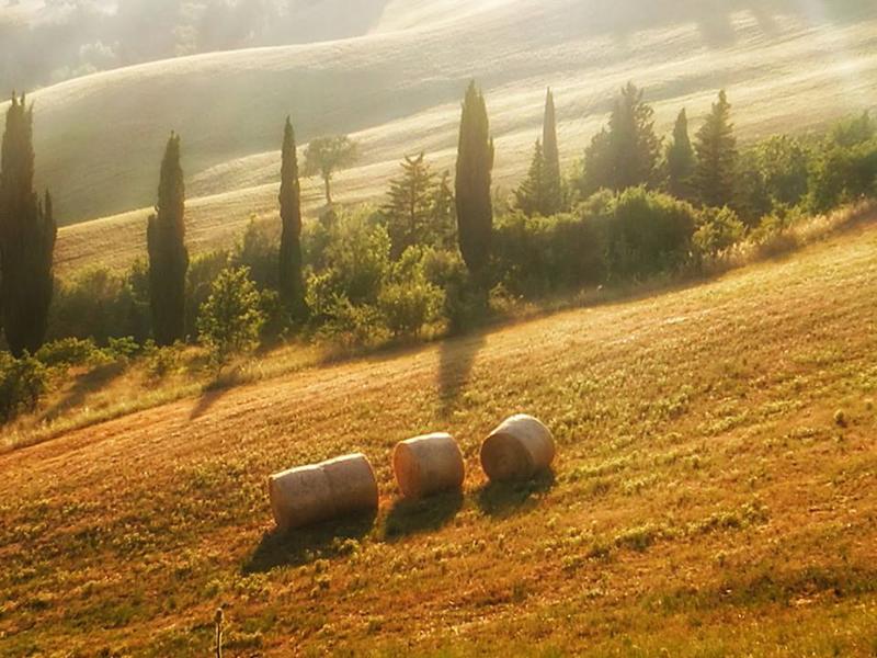 Cedi la strada agli alberi, le poesie d’amore e di terra di Franco Arminio Cedi la strada agli alberi, le poesie d’amore e di terra di Franco Arminio