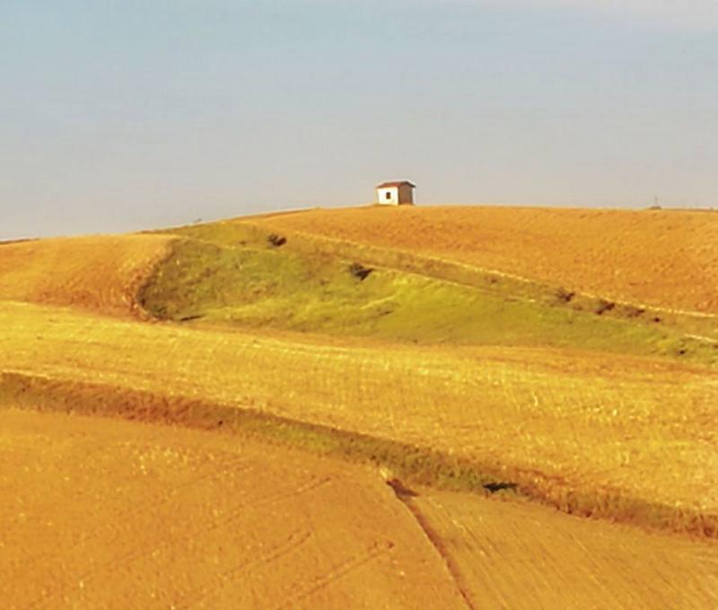 Cedi la strada agli alberi, le poesie d’amore e di terra di Franco Arminio Cedi la strada agli alberi, le poesie d’amore e di terra di Franco Arminio