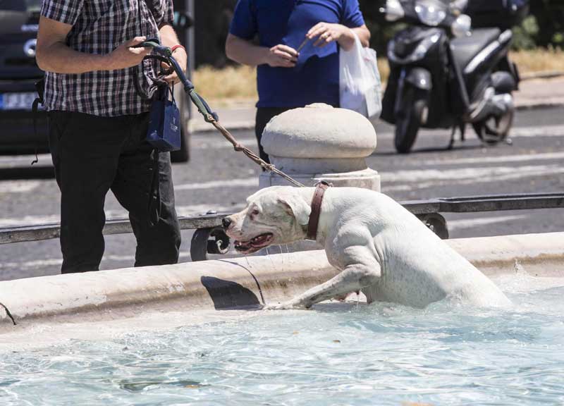 Estate da brivido bollente: su Roma la temperatura decolla fino a 36 gradi Estate da brivido bollente: su Roma la temperatura decolla fino a 36 gradi