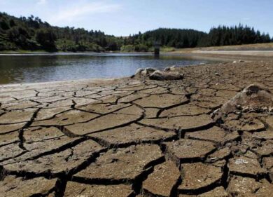 Siccità, dramma anche sul Po. A Pontelagoscuro -6,59 sotto lo 0 idrometrico