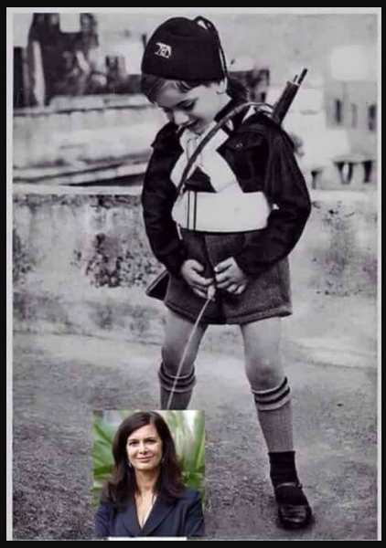 Laura Boldrini: dieci denunciati per la vignetta fascista su facebook Laura Boldrini: dieci denunciati per la vignetta fascista su facebook