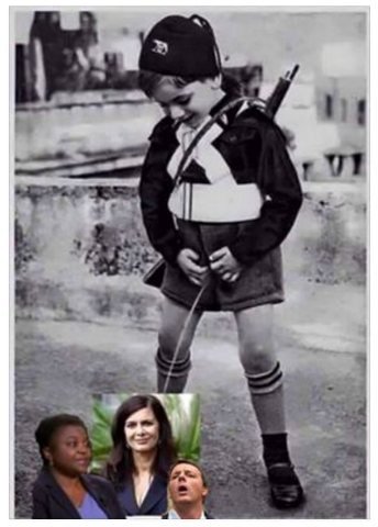 Laura Boldrini: dieci denunciati per la vignetta fascista su facebook