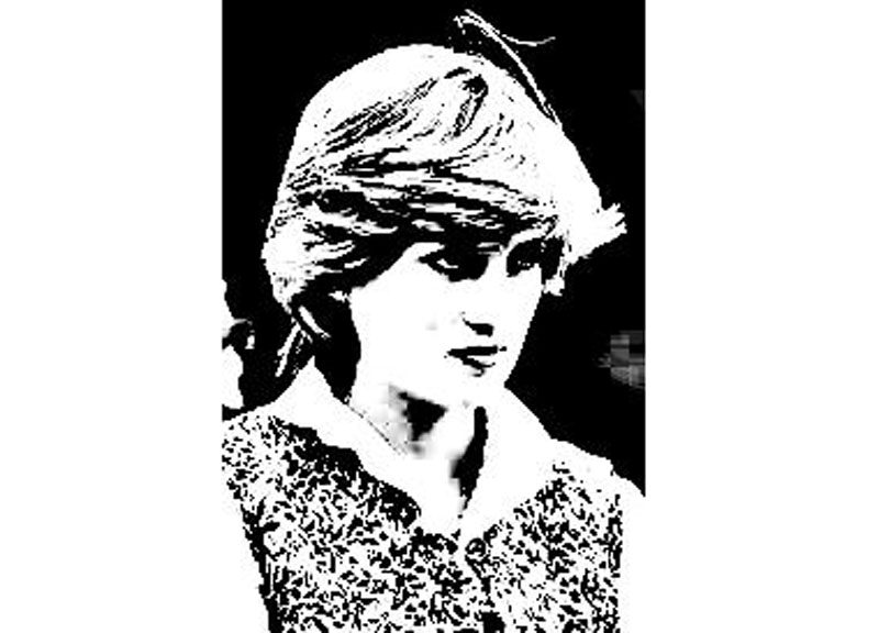 Il fatto della settimana, Diana vista dall’artista Il fatto della settimana, Diana vista dall’artista