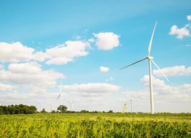 Anheuser-Busch ed Enel Green Power: una partnership nell’energia rinnovabile