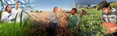 Bayer: “Saremo sempre più protagonisti del settore agricolo, anche in Italia”