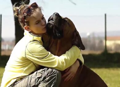 Sapienza, dipendente ottiene permesso retribuito per assistere il cane malato