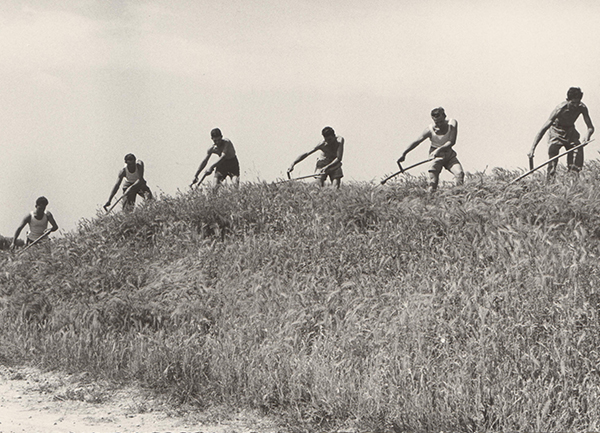 Genagricola, Ca’ Corniani: Alberto Garutti vincitore del concorso artistico