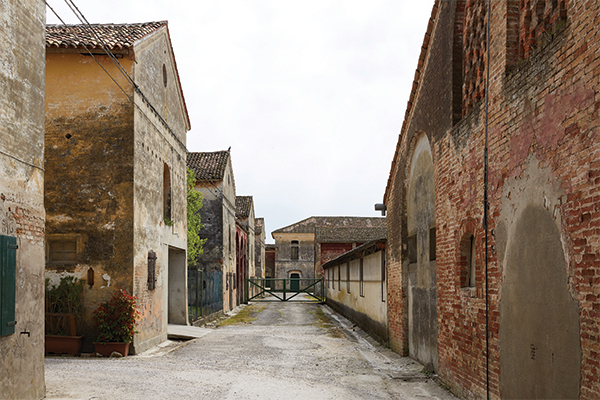 Genagricola, Ca’ Corniani: Alberto Garutti vincitore del concorso artistico