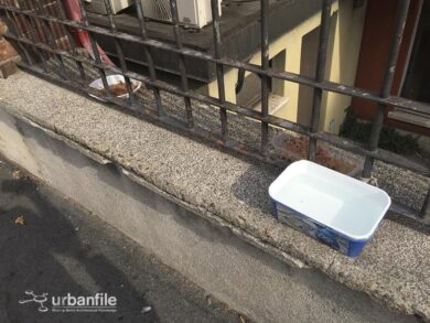 Policlinico di Milano, padiglione distaccato da terzo mondo. FOTO