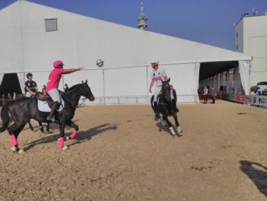 Fieracavalli 2017 a Veronafiere: partenza col botto, avanti fino a domenica