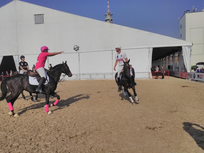 Fieracavalli 2017 a Veronafiere: partenza col botto, avanti fino a domenica Fieracavalli 2017 a Veronafiere: partenza col botto, avanti fino a domenica