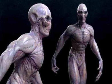 Ufo a Pomezia, atterra il panino degli alieni. Sono tra di noi