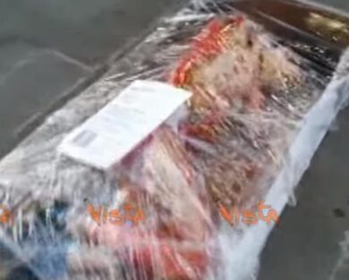 Persone impacchettate al banco della carne: provocazione ambientalista. Video