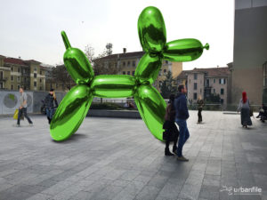 Immagine 6b Immagine 6b
