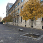 Immagine10 Immagine10