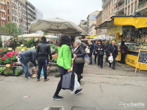Immagine3 Immagine3