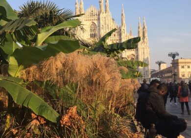 Sardone: “Palme e banane in Duomo: degrado, rifiuti e venditori abusivi”