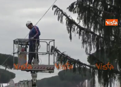 “Spelacchio” è morto, breve videostoria dell’albero di Piazza Venezia