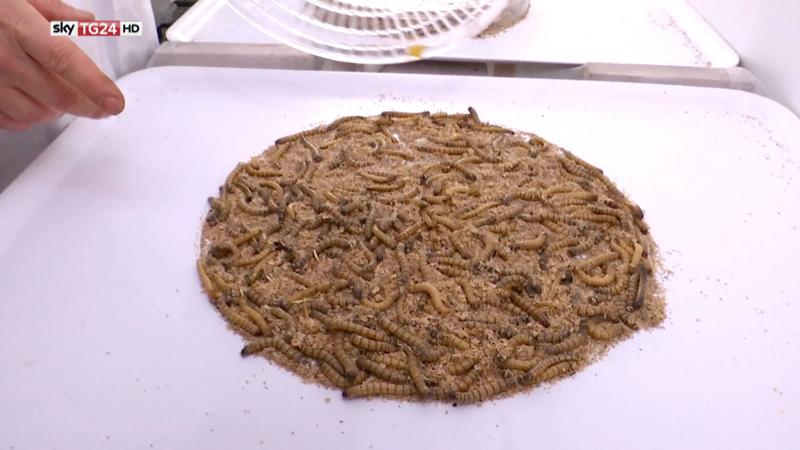 Sky Tg24, un piatto nel futuro: dal cibo stampato in 3D a… Alimentazione 2.0 Sky Tg24, un piatto nel futuro: dal cibo stampato in 3D a… Alimentazione 2.0