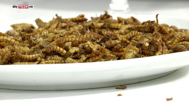 Sky Tg24, un piatto nel futuro: dal cibo stampato in 3D a… Alimentazione 2.0 Sky Tg24, un piatto nel futuro: dal cibo stampato in 3D a… Alimentazione 2.0