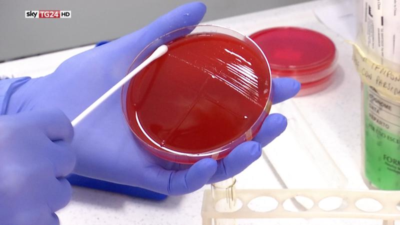Sky Tg24, un piatto nel futuro: dal cibo stampato in 3D a… Alimentazione 2.0 Sky Tg24, un piatto nel futuro: dal cibo stampato in 3D a… Alimentazione 2.0
