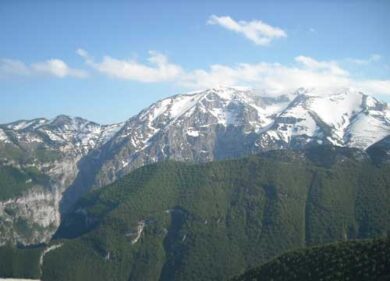 Il camoscio è “vivo e vegeto”. Il Parco Nazionale festeggia: + 22% di natalità