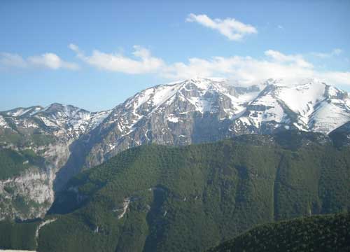 Il camoscio è “vivo e vegeto”. Il Parco Nazionale festeggia: + 22% di natalità Il camoscio è “vivo e vegeto”. Il Parco Nazionale festeggia: + 22% di natalità