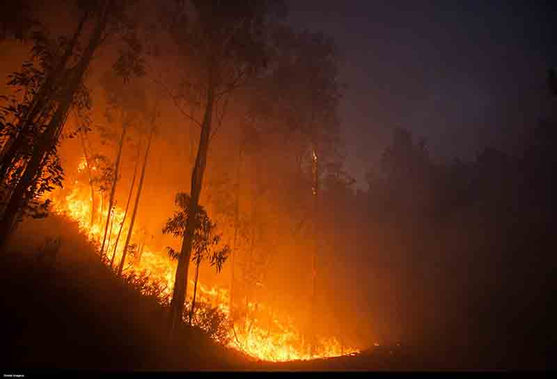 Incendi, boschi e risorse in fumo per la tutela Incendi, boschi e risorse in fumo per la tutela