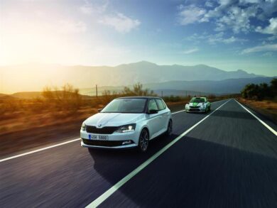 Skoda Fabia R5 edition per festeggiare il titolo mondiale Rally 2017