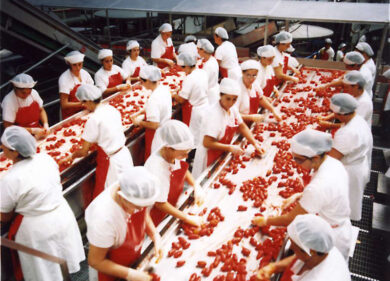 Sulle tavole degli italiani non c’è pomodoro cinese