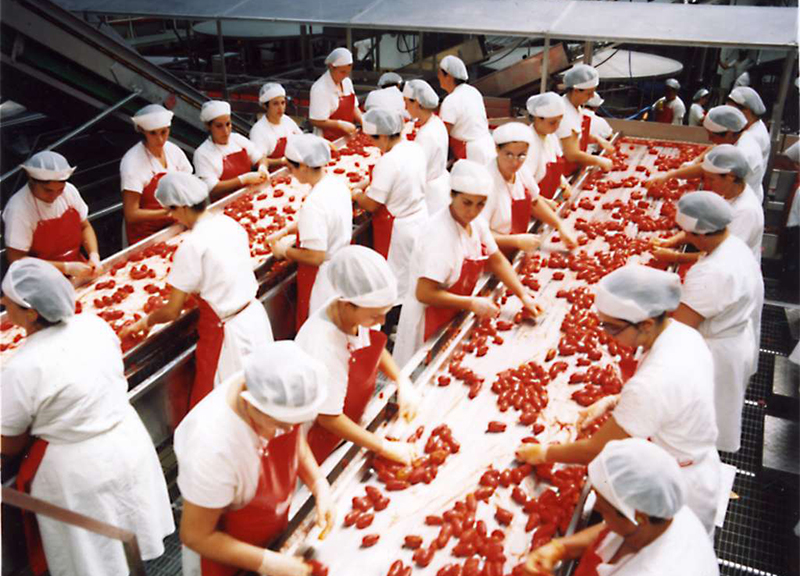 Sulle tavole degli italiani non c’è pomodoro cinese Sulle tavole degli italiani non c’è pomodoro cinese