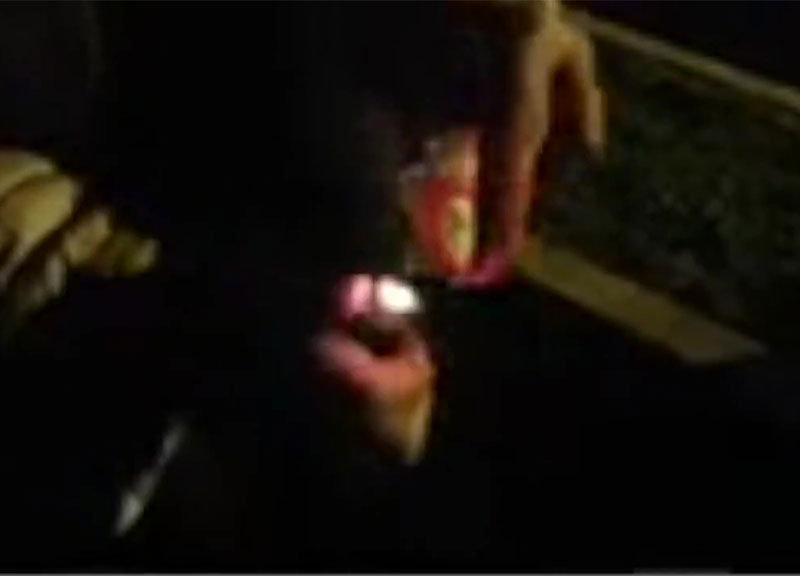 Tessera del Pd bruciata, bufera M5S: “Renzi De Benedetti persone orribili” Tessera del Pd bruciata, bufera M5S: “Renzi De Benedetti persone orribili”