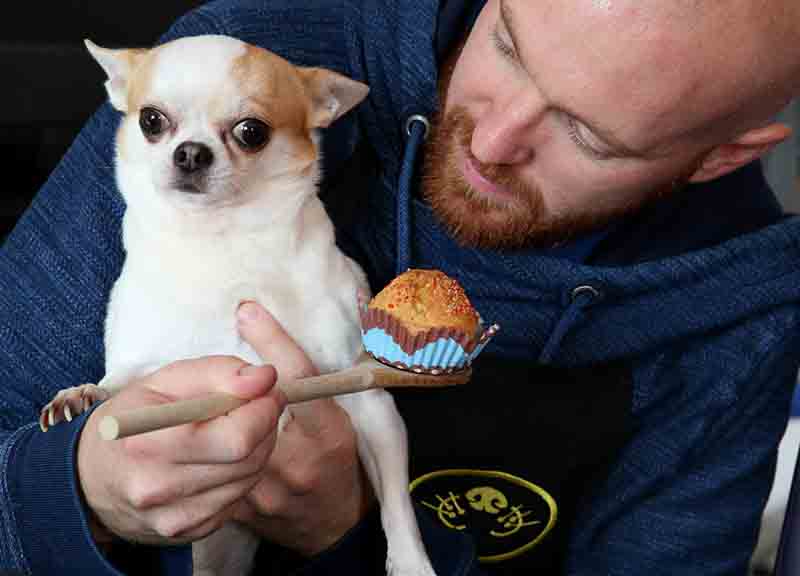 San Valentino, amore a 4 zampe: il 14% ama più il cane del partner San Valentino, amore a 4 zampe: il 14% ama più il cane del partner