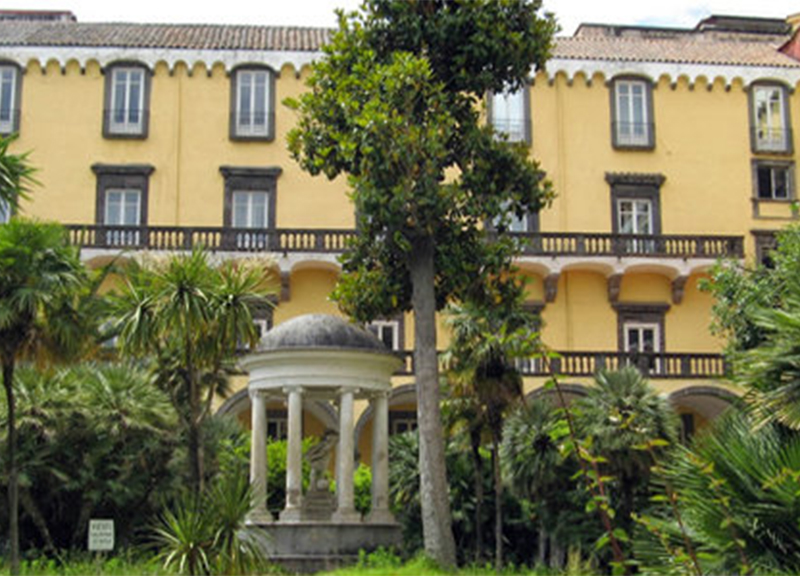 Un focus di Svimez sul sistema universitario italiano e meridionale Un focus di Svimez sul sistema universitario italiano e meridionale