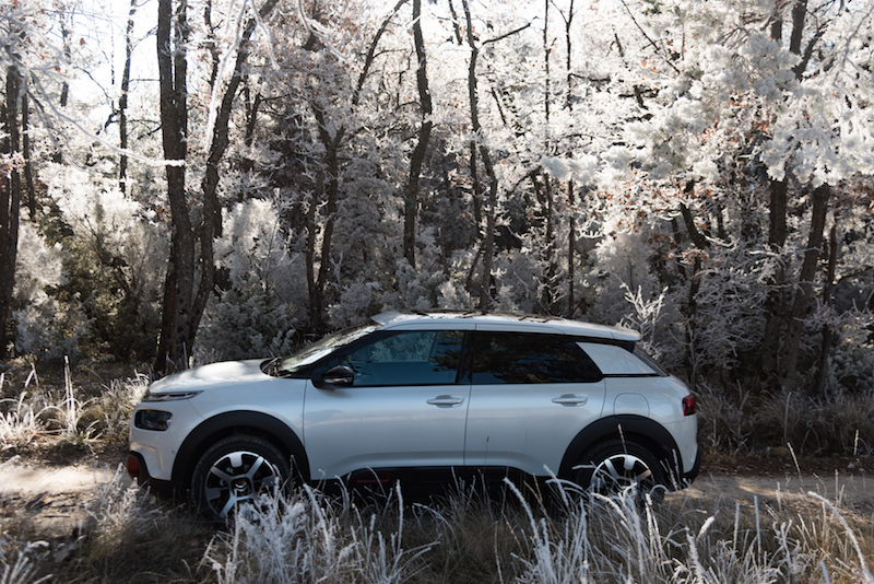 Nuova C4 Cactus,la berlina ultra comfortevole Nuova C4 Cactus,la berlina ultra comfortevole