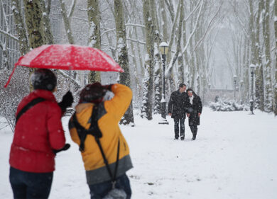 Neve e gelo, ecco i danni all’agricoltura. La situazione da Nord a Sud