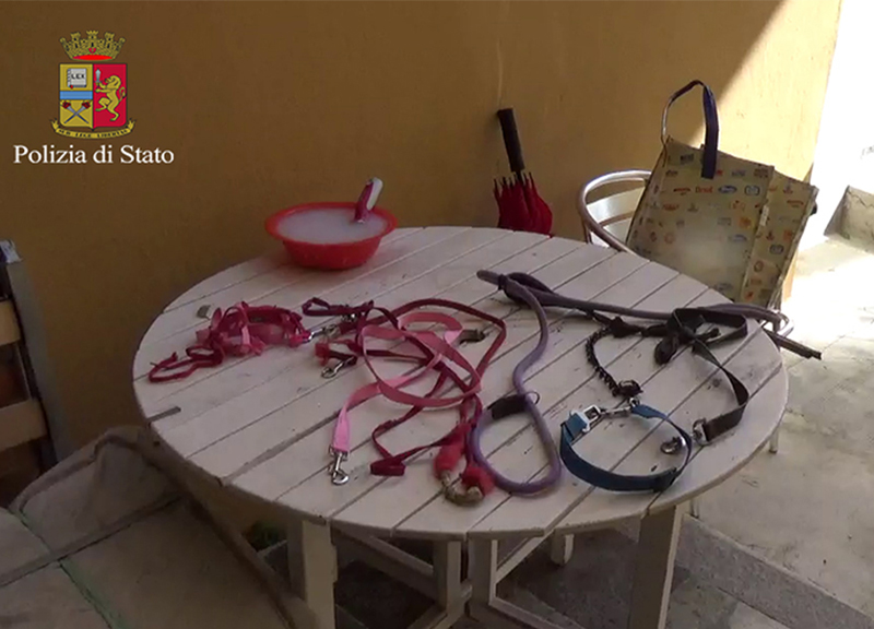 Sanremo, picchia e tiene segregata al guinzaglio la madre per 8 anni. VIDEO Sanremo, picchia e tiene segregata al guinzaglio la madre per 8 anni. VIDEO