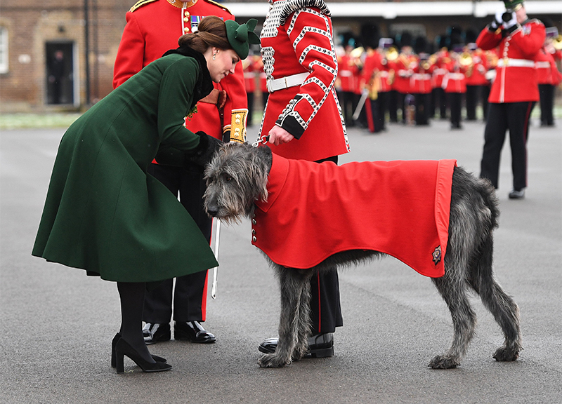 Kate Middleton, total look in verde per San Patrizio. KATE MIDDLETON NEWS