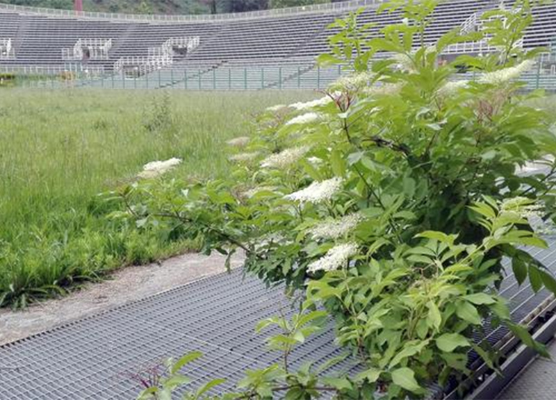 Stadio Flaminio, la grande “bidonville” nel cuore di Roma. Il caso: FOTO Stadio Flaminio, la grande “bidonville” nel cuore di Roma. Il caso: FOTO