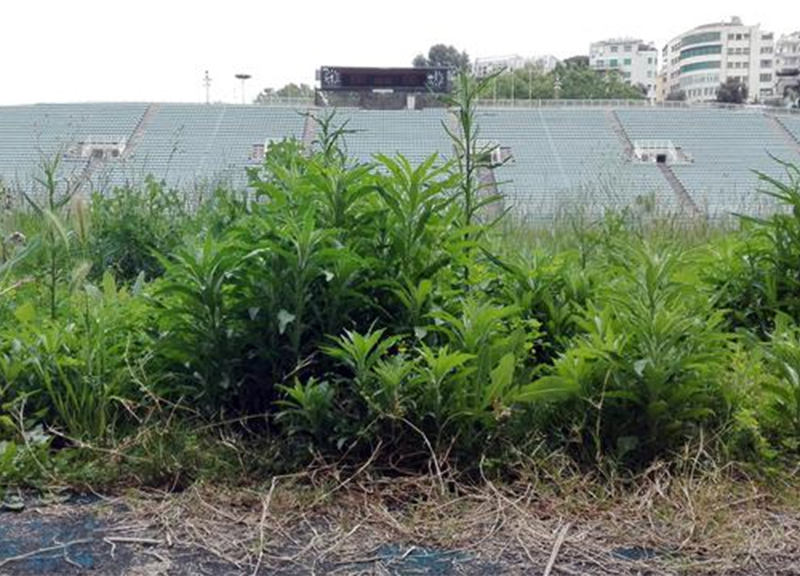 Stadio Flaminio, la grande “bidonville” nel cuore di Roma. Il caso: FOTO Stadio Flaminio, la grande “bidonville” nel cuore di Roma. Il caso: FOTO