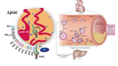 Gesualdo, la lipoproteina (a) e il terzo colesterolo