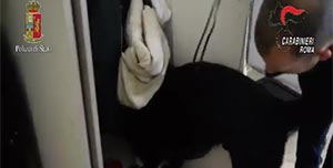 Tor Bella Monaca battuta a tappeto: 11 arresti per spaccio e ricettazione